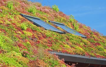 Noel Park living roof systems