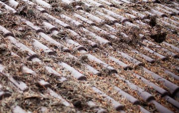 Noel Park roof cleaning companies