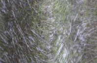 Noel Park fibreglass roof work